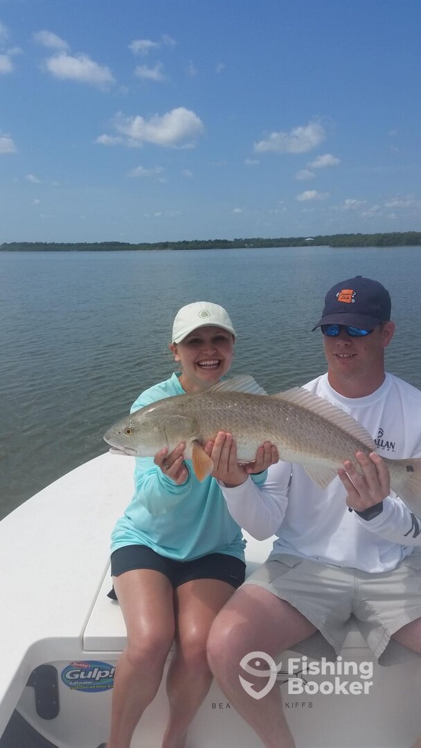 clients with another mosquitolagoon red