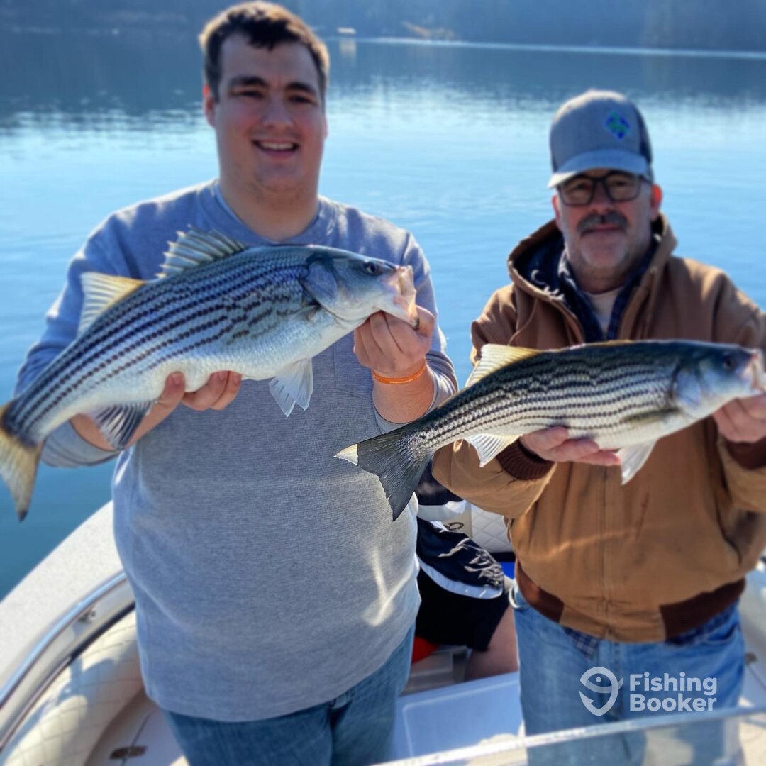 Cumming Report Photo 0