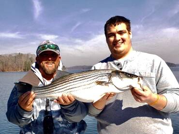 Cumming Report Photo 1