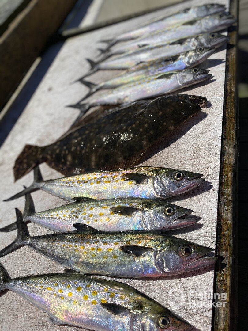 Port Orange Report Photo 0