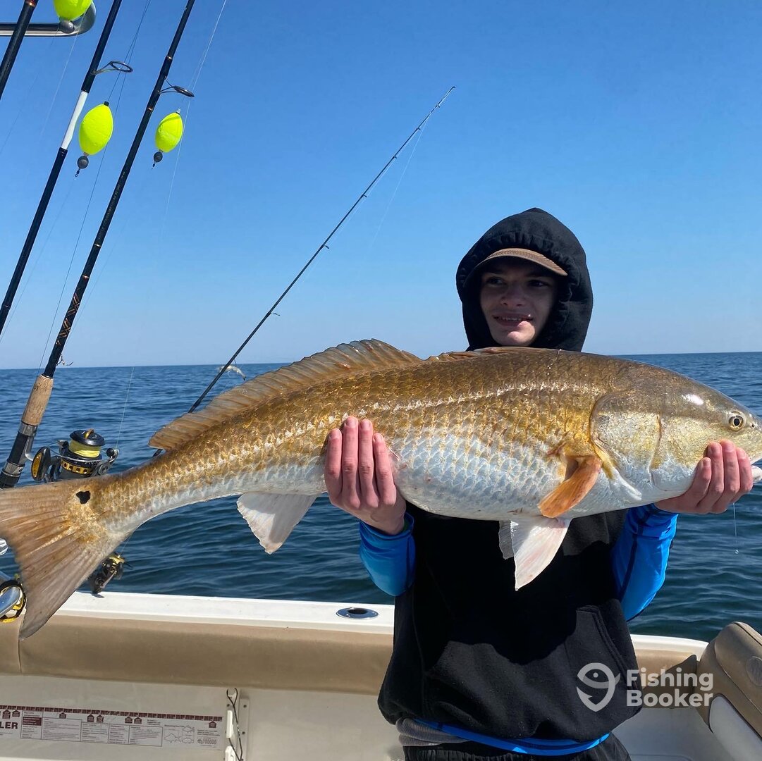 Murrells Inlet Report Photo 0