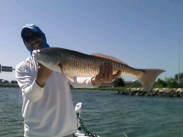 Redfish
