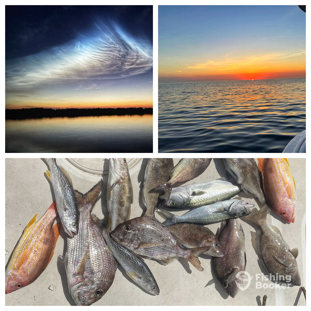 Port Orange Report Photo 0