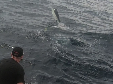 Sydney Report Photo 1