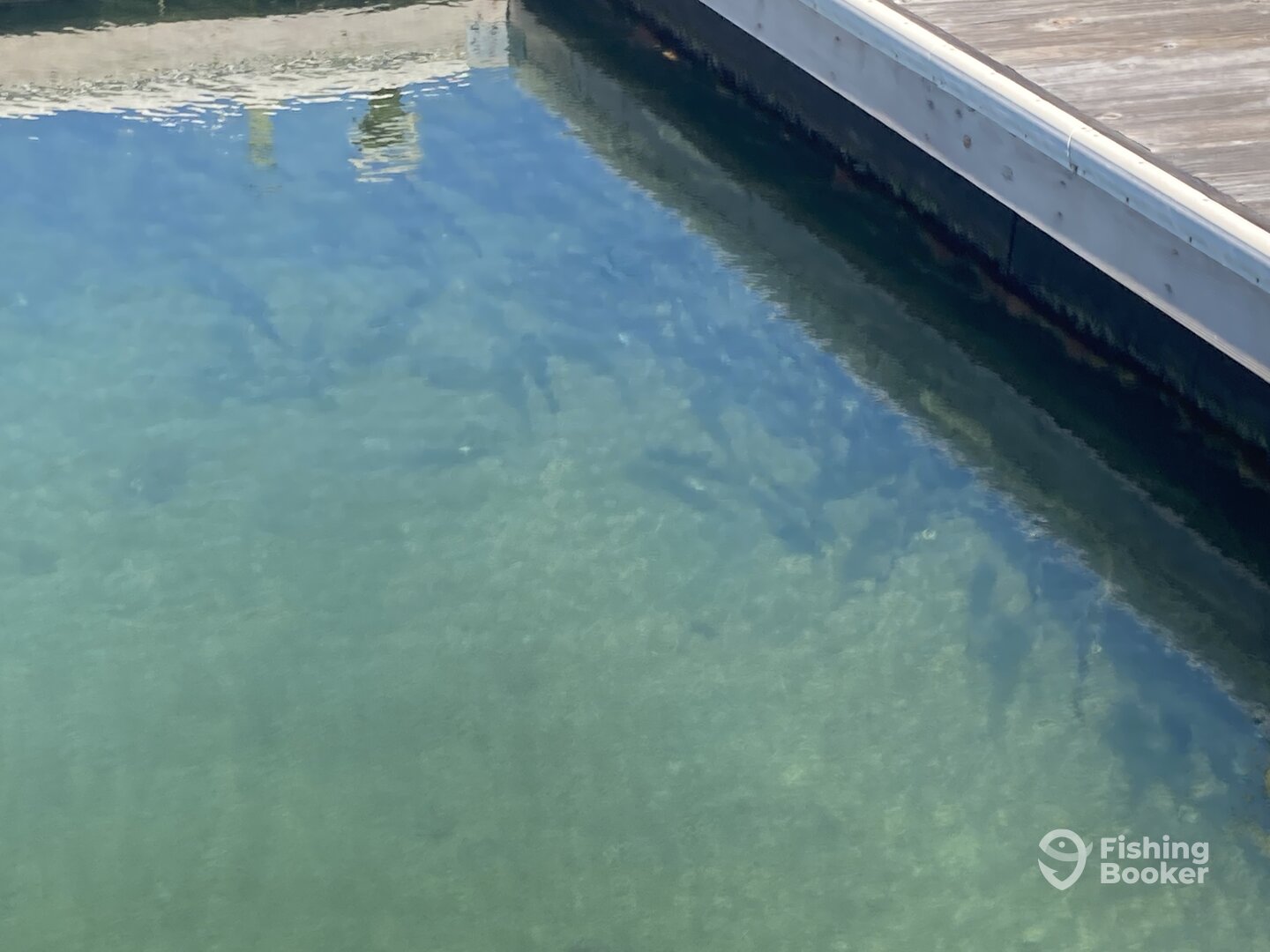 Wrightsville Beach Report Photo 0