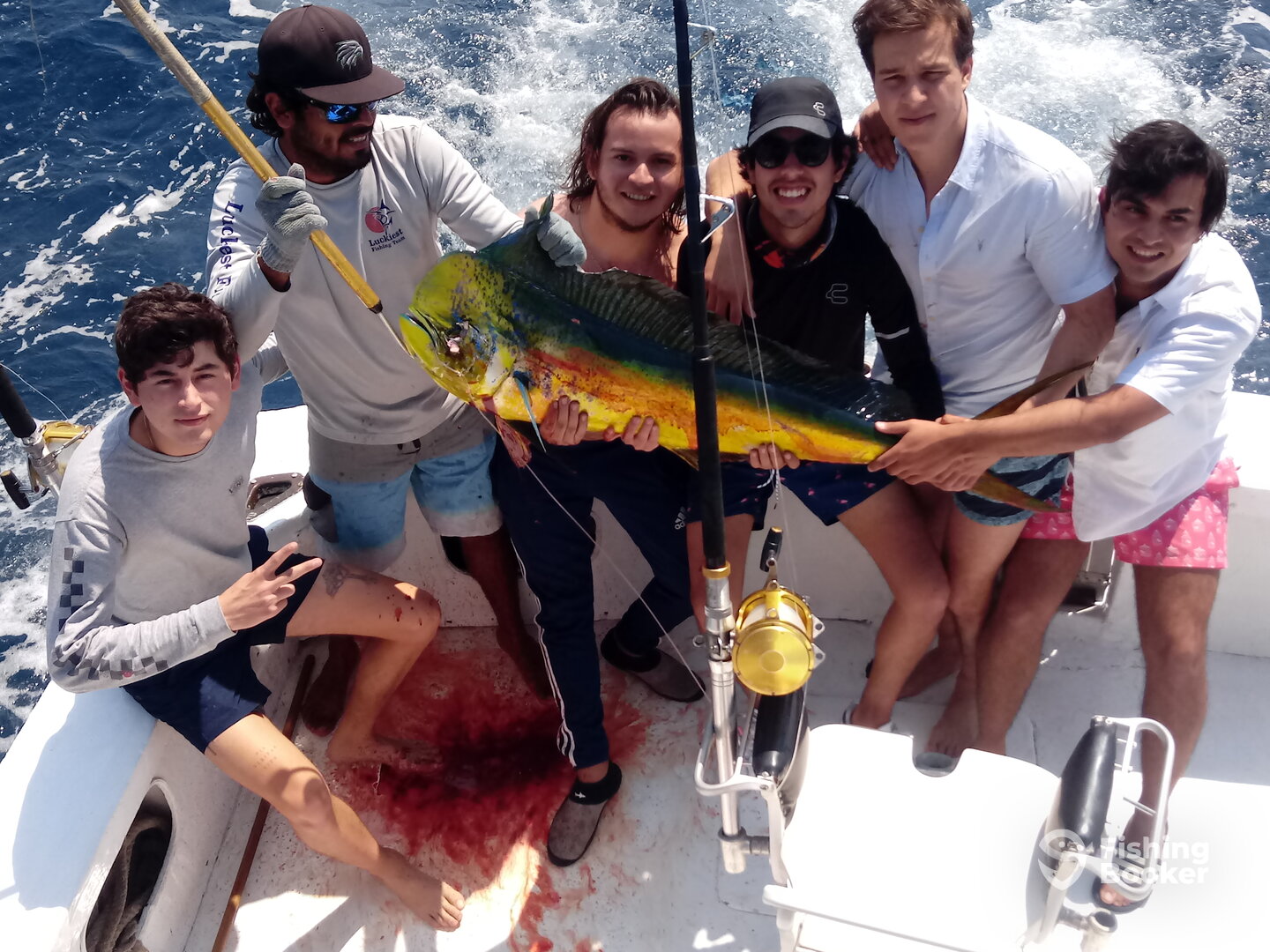 Manzanillo Report Photo 0