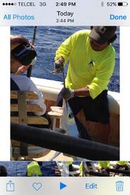 KayKib Won 9th place tournament