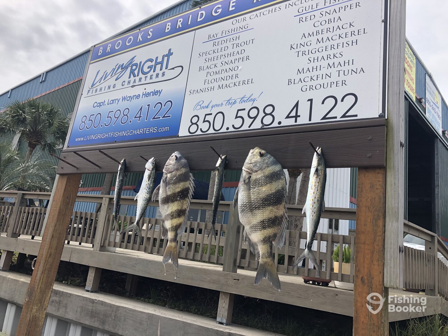 Destin Report Photo 0