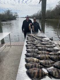 St. Bernard Report Photo 2