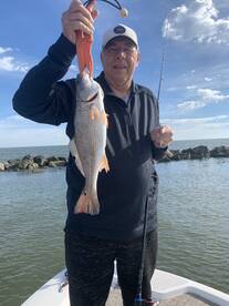 St. Bernard Report Photo 1