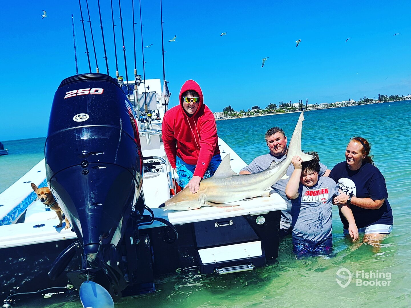 St. Petersburg Report Photo 0