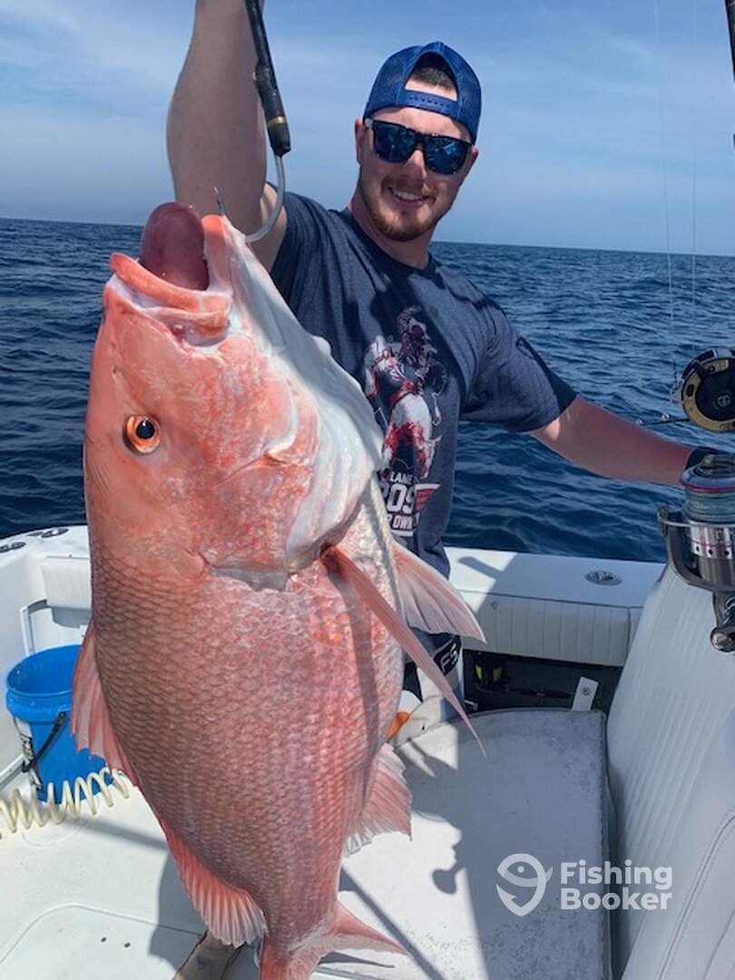 Treasure Island Report Photo 0