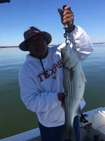 Pottsboro Report Photo 2