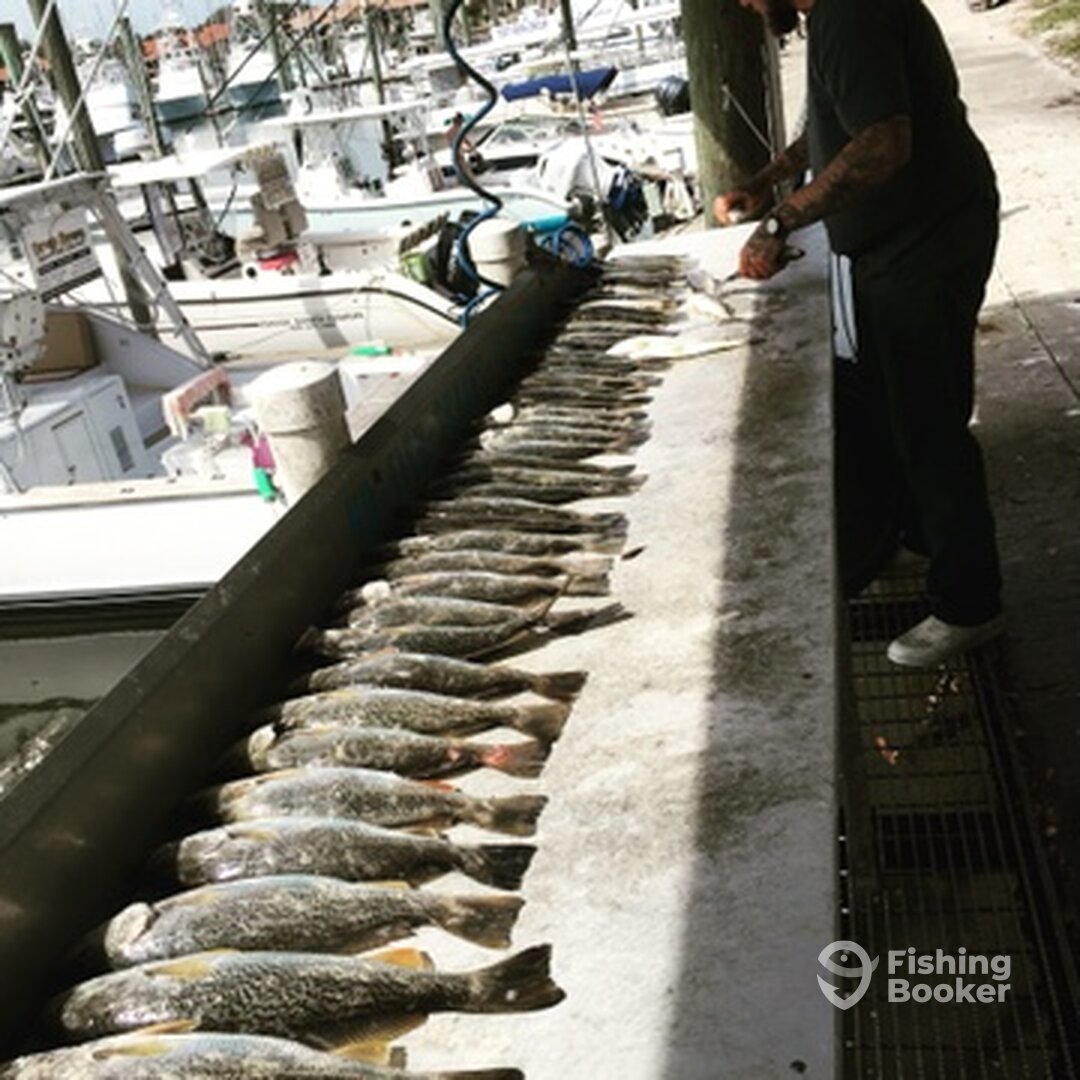 St. Augustine Report Photo 0