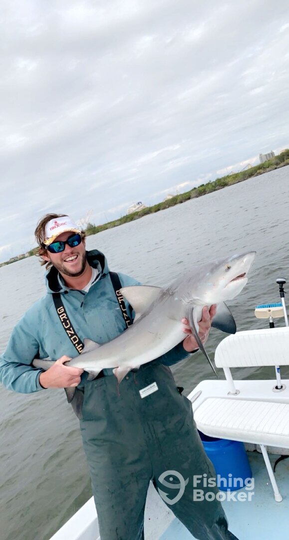 Tampa Report Photo 0