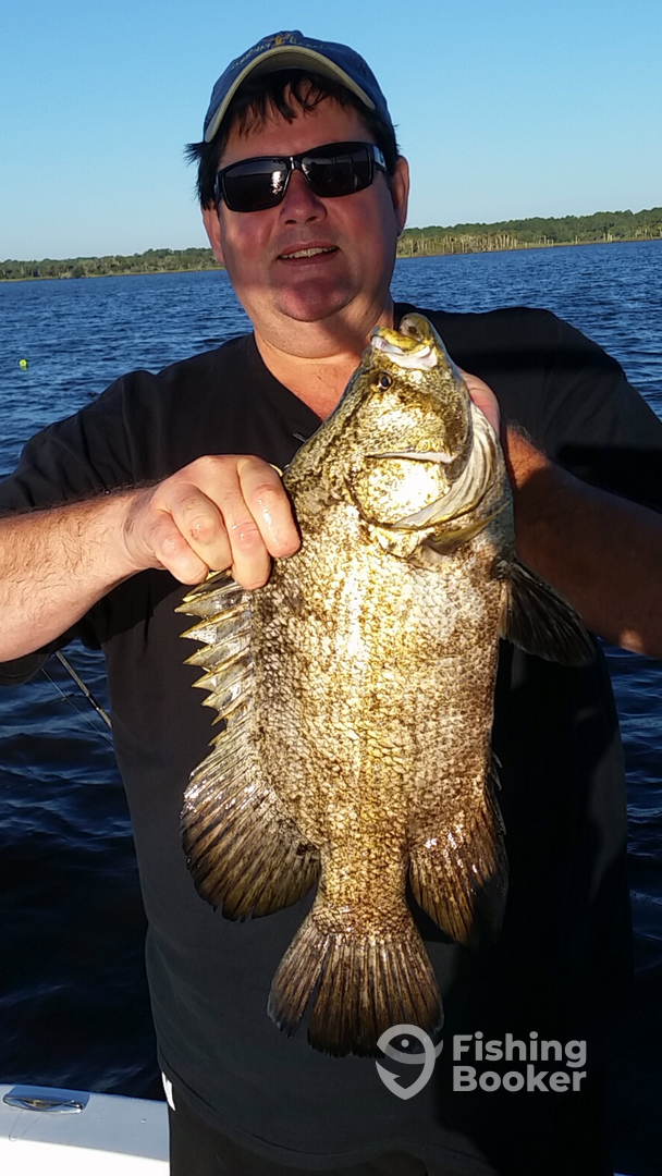 Port Orange Report Photo 0