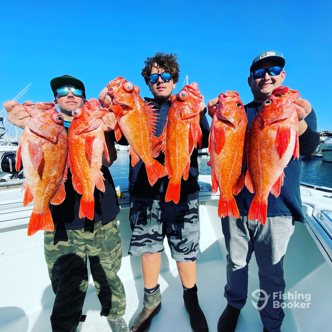 San Diego Report Photo 0