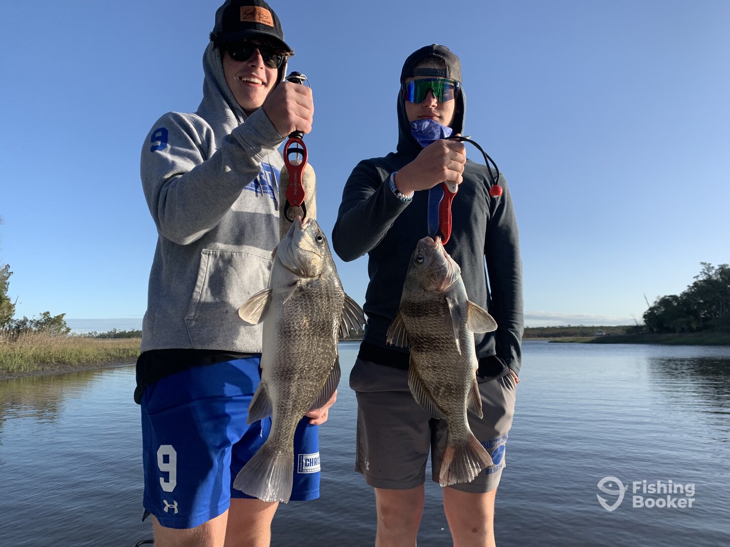 Mount Pleasant Report Photo 0