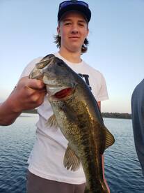 Orlando Report Photo 2