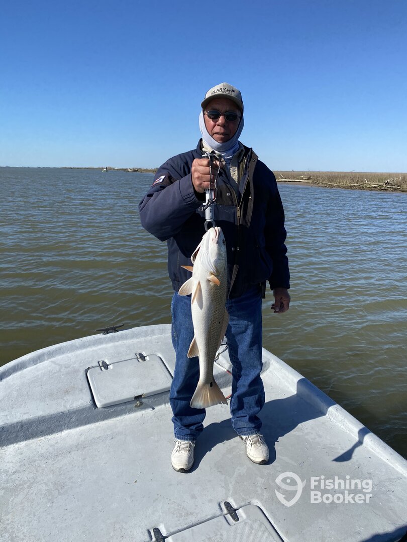 Palacios Report Photo 0