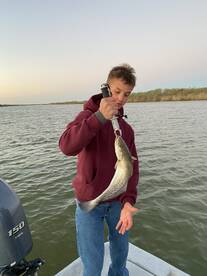 Palacios Report Photo 1