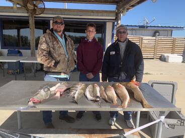 Palacios Report Photo 2