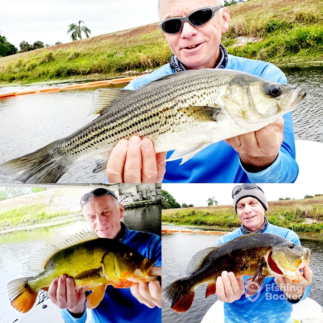 Delray Beach Report Photo 0