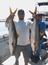 Yellowtail season book now !!! 
