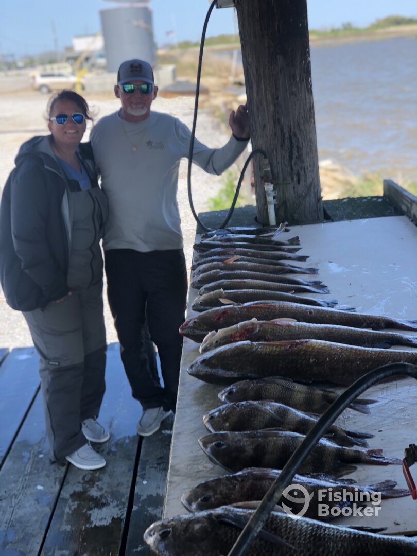 Venice Report Photo 0