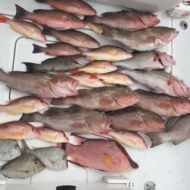 Madeira Beach Report Photo 2