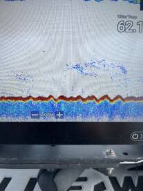 Foto Report Cedar Point 2