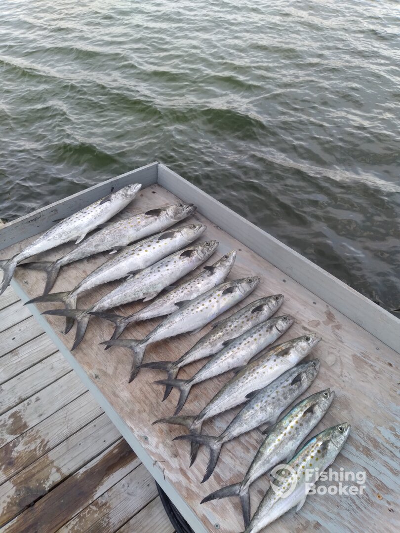 Destin Report Photo 0