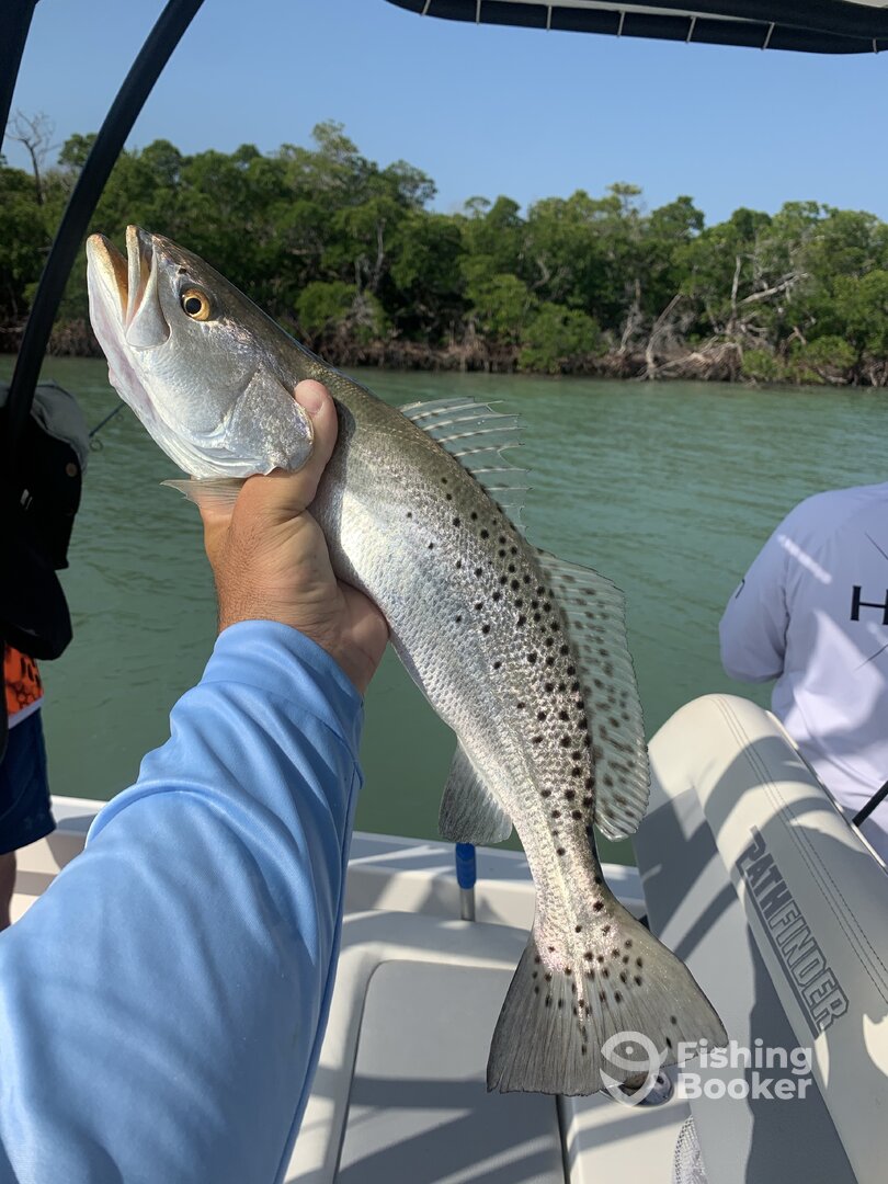 Marco Island Report Photo 0