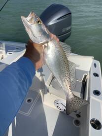 Marco Island Report Photo 1