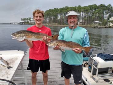 The Bite seems to be getting better