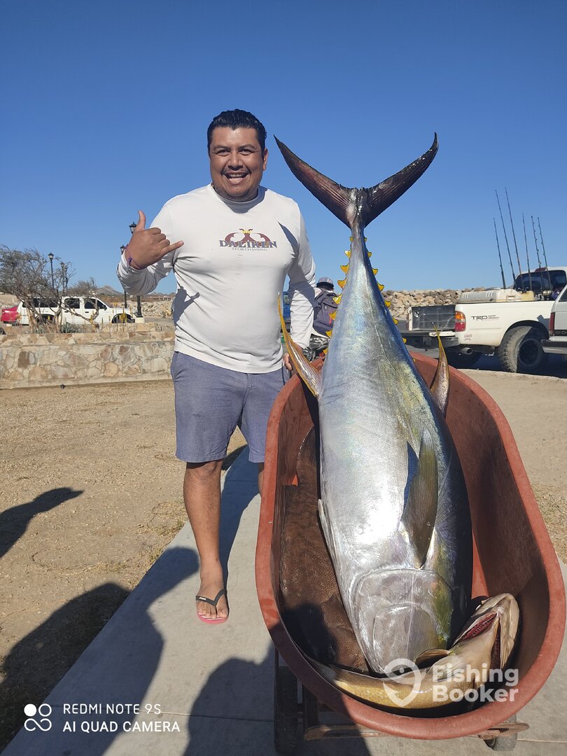 San Jose del Cabo Report Photo 0