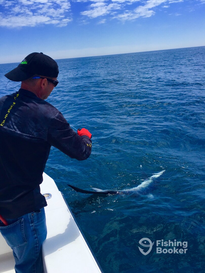 Ocean City Report Photo 0