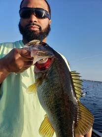 Orlando Report Photo 2