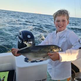 4 tuna macro plus 2 jack carvelle 