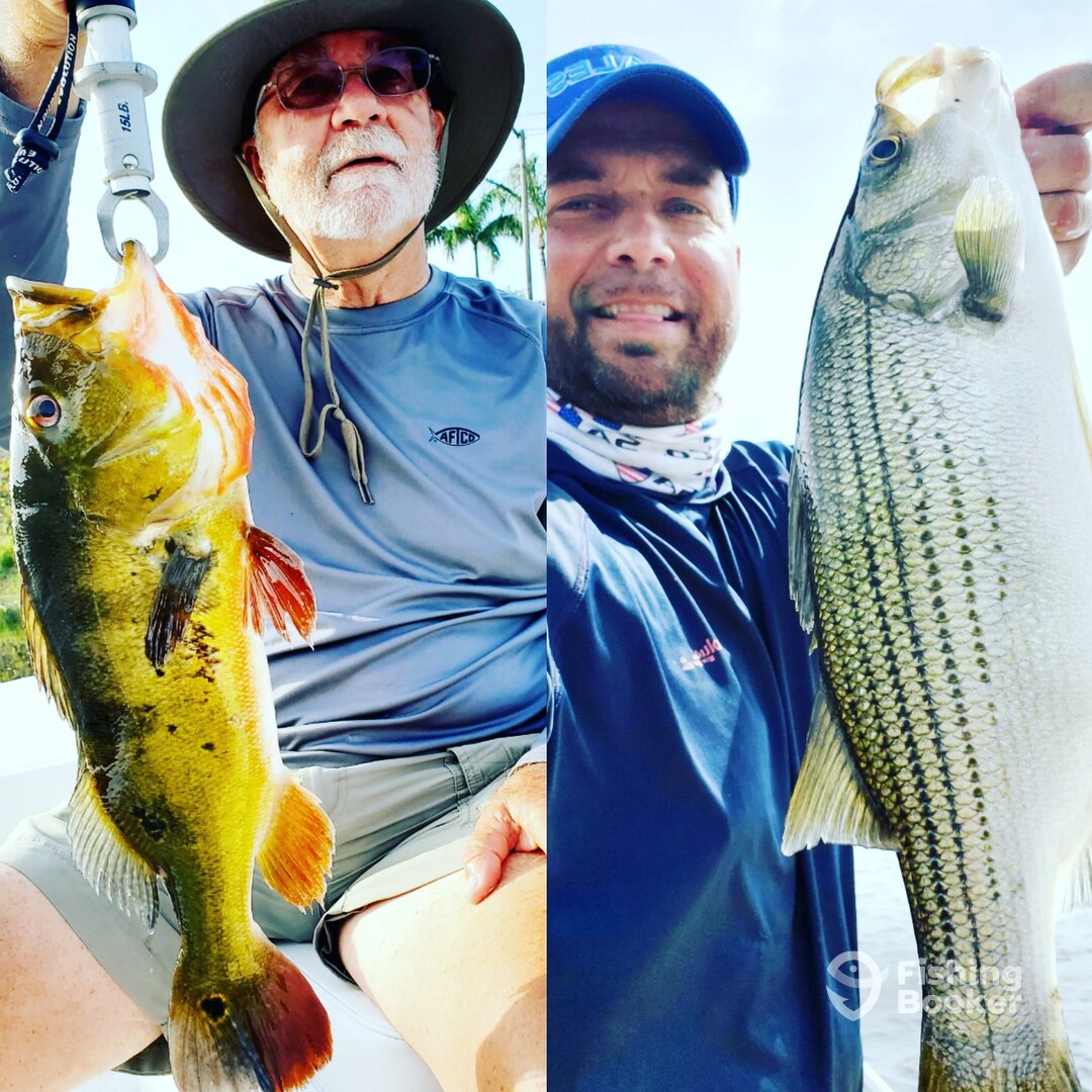 Delray Beach Report Photo 0