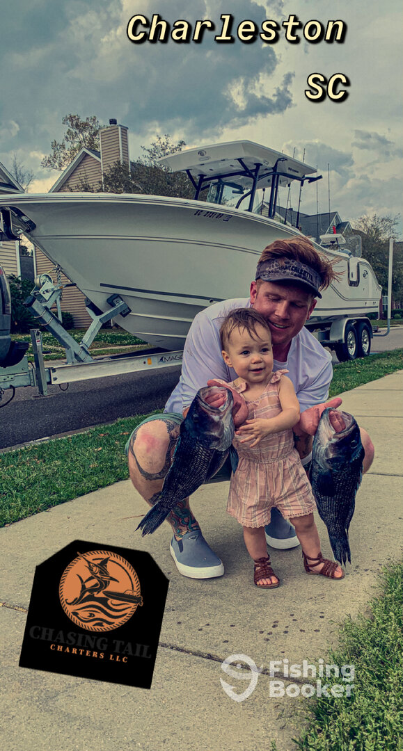 Mount Pleasant Report Photo 0