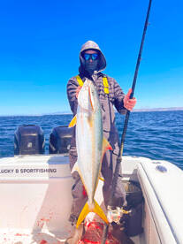 San Diego Report Photo 2