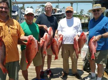 Gulf Shores Report Photo 1