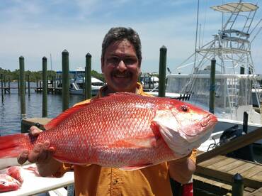 Gulf Shores Report Photo 2