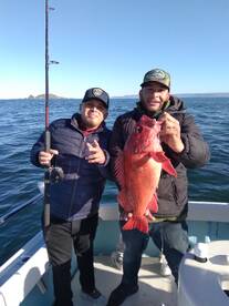 Ensenada Report Photo 2