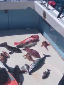 Ensenada Report Photo 2