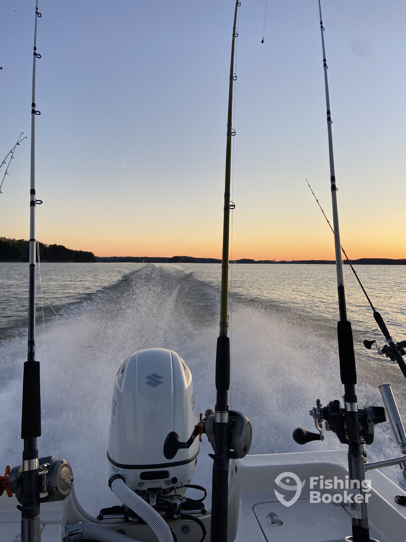 Cumming Report Photo 0