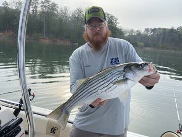 Cumming Report Photo 1