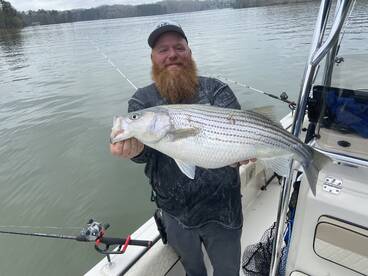 Cumming Report Photo 2