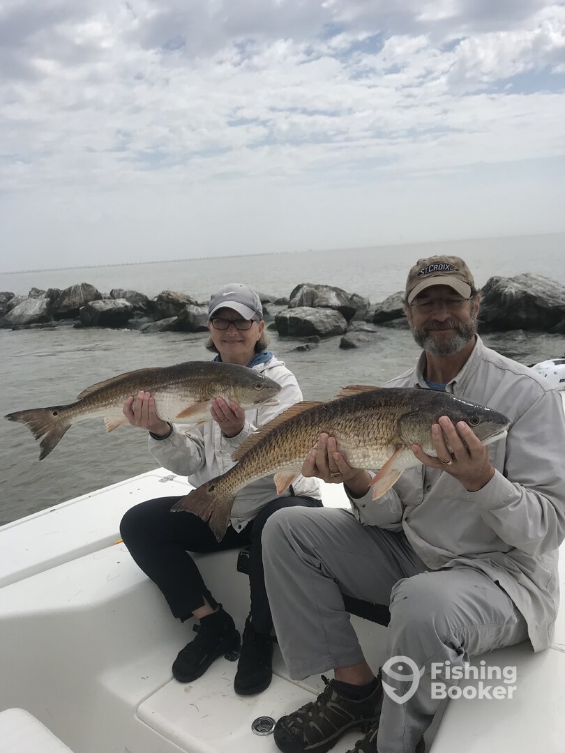 Venice Report Photo 0